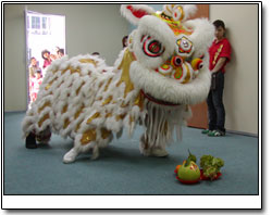 Lion Dance